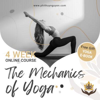 The Mechanics of Yoga Series