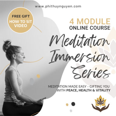 Meditation Immersion Series